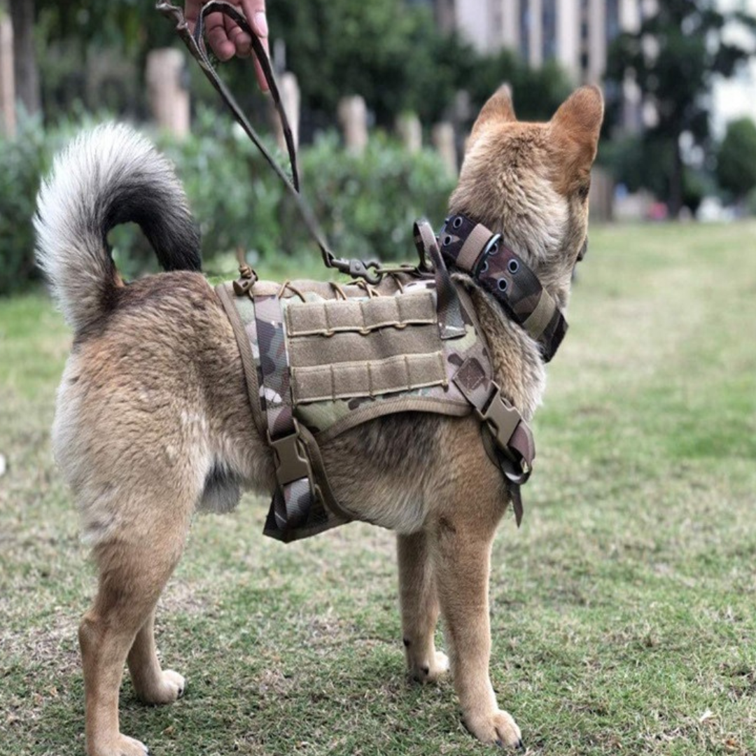 Pechera Chaleco Táctico Arnés Para Mascota Perro