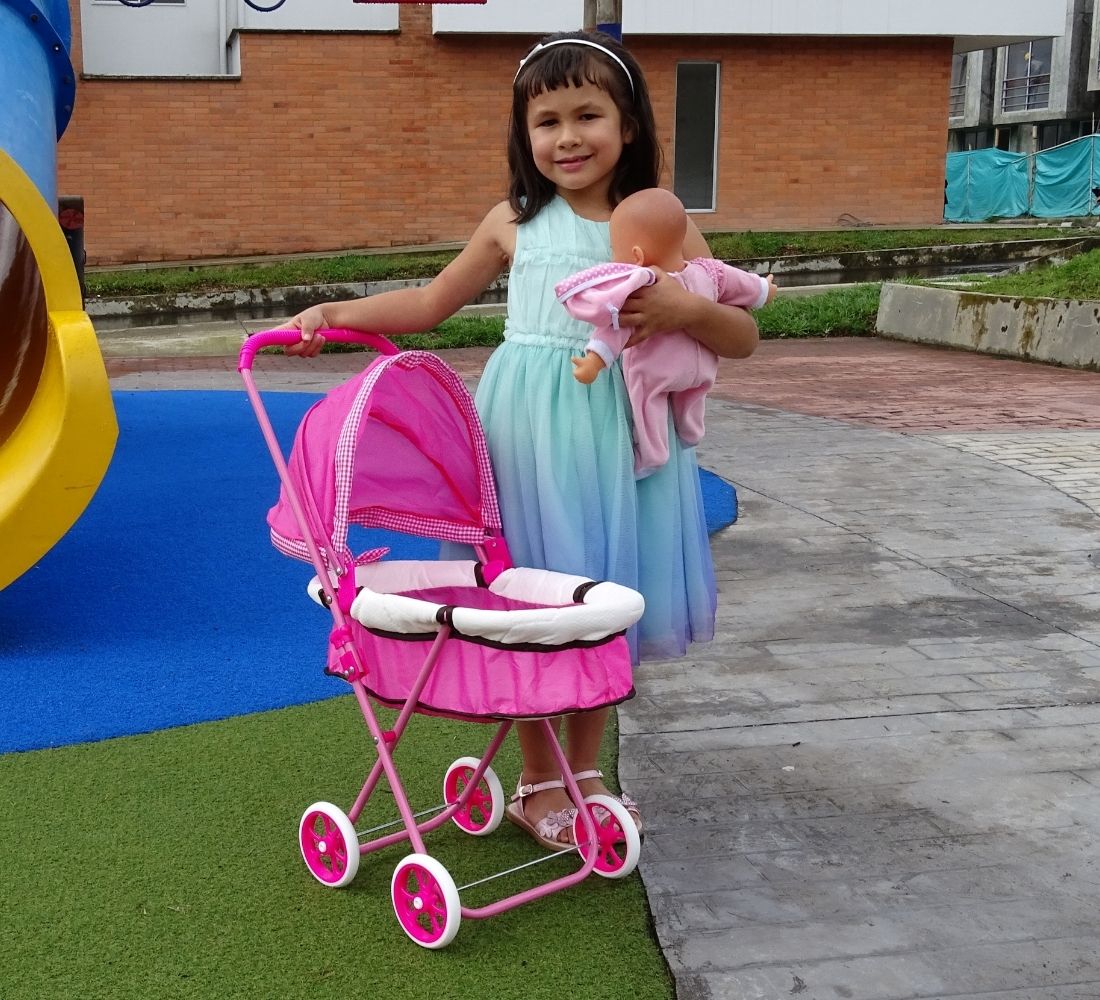 Coche Moises Para Muñeca